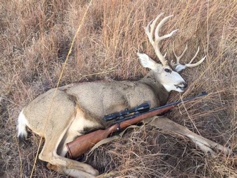 Kansas On My Own Public Land Mule Deer Hunt Talk