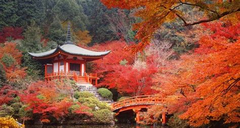 ｢醍醐寺の弁天堂｣京都 伏見区 Peapix