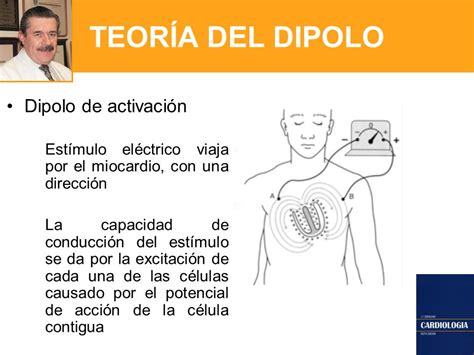 CURSO DE ELECTROCARDIOGRAFÍA GENERALIDADES 1 ppt video online descargar