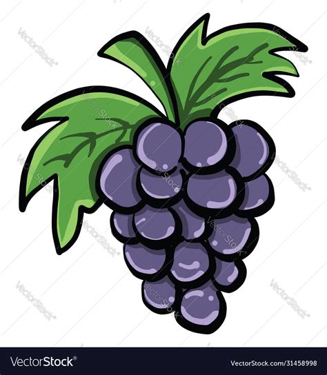 Red Grape On White Background Royalty Free Vector Image