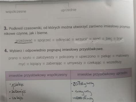 POMOCY POTRZEBUJ NA TERAZ ZAŁĄCZNIK CW 3 KTORE WYRAZY PODKREŚLIĆ I czy