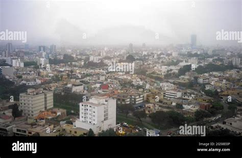 Greater lima Stock Videos & Footage - HD and 4K Video Clips - Alamy