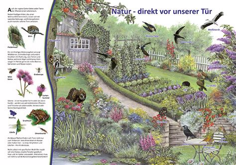 Natur Vor Unserer T R Kologie Lehrtafeln Natur Im Bild