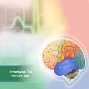 Animated Brain Anatomy Powerpoint Template - Neuroanatomy Powerpoint ...