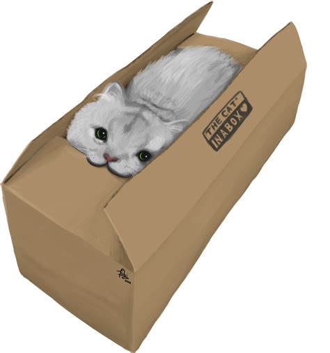 Cat In A Box By Tobsen85 On Deviantart