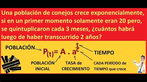 Elementos De La FunciÓn Exponencial Paso A Paso Problemas De AplicaciÓn En La Vida Cotidiana