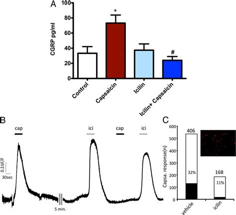 Trpm8 Activation Attenuates Inflammatory Responses In Mouse Models Of