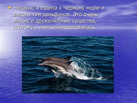 Виды дельфинов - презентация онлайн