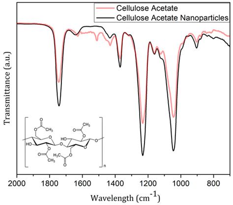 Polymers Free Full Text Preparation And Phytotoxicity Evaluation Of