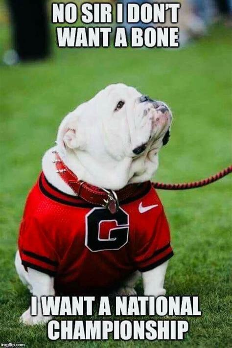 Pinterest Bulldog Georgia Bulldogs Bulldog Funny