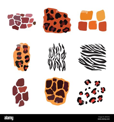 Wild animal set. Jaguar, leopard, zebra, giraffe, tiger and cheetah print Stock Vector Image ...