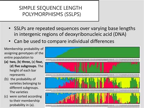 Importance of Genetic Markers in Forensics | PPT