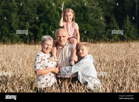 Family portrait of grandparents with their grandchildren in an oat field Stock Photo - Alamy