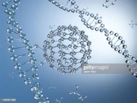 762 Molecular Cloning Stock Photos, High-Res Pictures, and Images - Getty Images