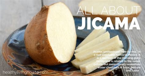 Mexican Jicama Snack Recipes — Dishmaps