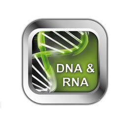 Fastgene Ml Reaction Tubes Nippon Genetics Europe