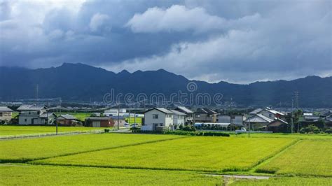 Rural Landscape in Japan with Rice Fields Stock Image - Image of ...