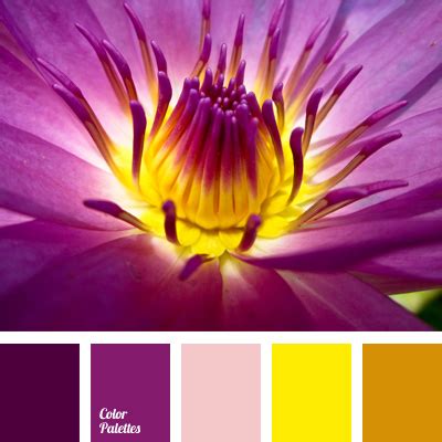 bright violet | Page 3 of 3 | Color Palette Ideas