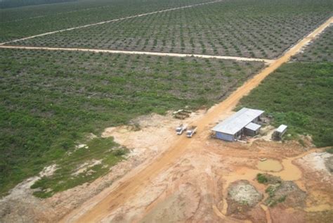 Pemrov Kalbar Susun Rencana Induk Pengembangan Kawasan Perkebunan