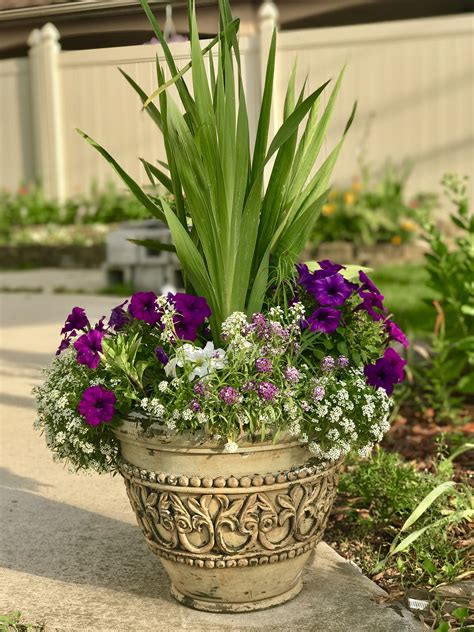 Container Flower Arrangements Flower Pots Outdoor Potted Plants