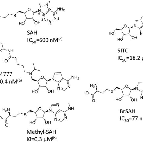 Structure Of Dot L Inhibitors All Reported Dot L Inhibitors Are