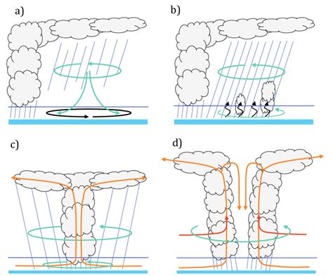 2: Formation of a TC from a MCS and final circulation pattern. At the... | Download Scientific ...