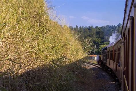 Passeio De Trem De Guararema S O Paulo Sem Mesmice