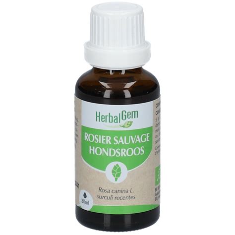 HERBALGEM Rosier Sauvage Bio Complément Alimentaire Extrait De