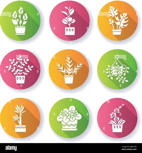 Domesticated Plants Flat Design Long Shadow Glyph Icons Set