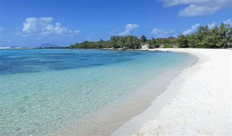 From Trou D Eau Douce Ile Aux Cerfs Speedboat Tour W Lunch Getyourguide