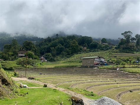 Pema Khandu On Twitter Delighted To See Farmlands In