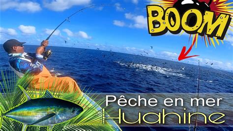 P Che En Mer Exo Sur L Le De Huahine Thons En Chasse Very Rod Trip