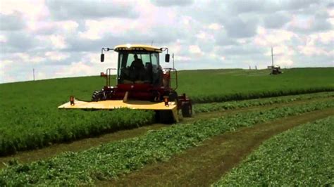 Cutting Hay 2012 Youtube