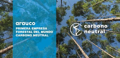 Arauco Primera Compa A Forestal Del Mundo En Certificar Su Carbono