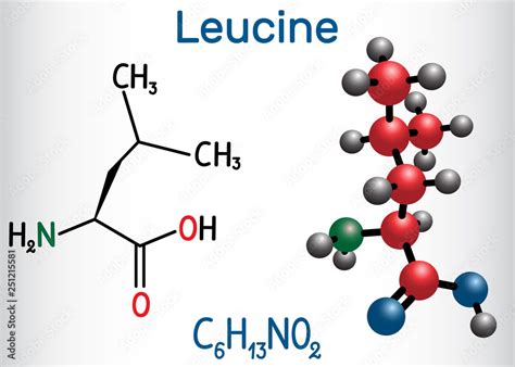 Leucine L Leucine Leu L Molecule It Is Essential Amino Acid