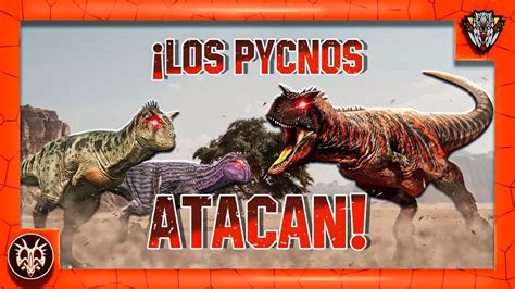 Pycno Vs Path Of Titans Pvppycnonemosaurus Gameplay Elmozo Youtube