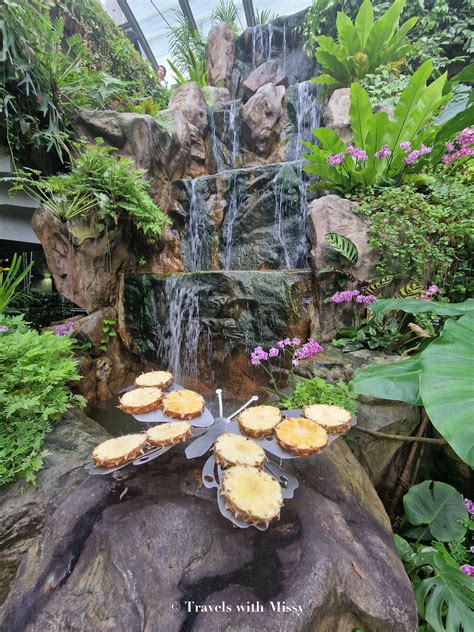 Butterfly Garden Changi Airport: A Breathtaking Oasis in a Bustling Hub
