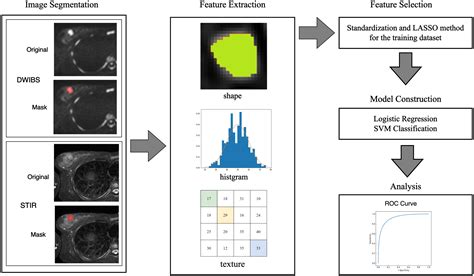 Radiomics Model Of Diffusion Weighted Whole Body Imaging With