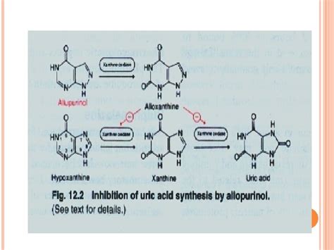 ALKYLATING AGENTS ALKYLATING AGENTS MECHANISM OF ACTION ALKYLATING