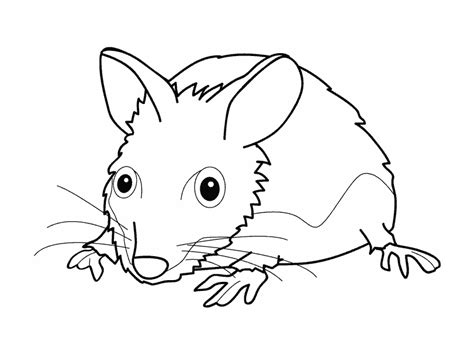 mouse coloring page  print mouse coloring pages
