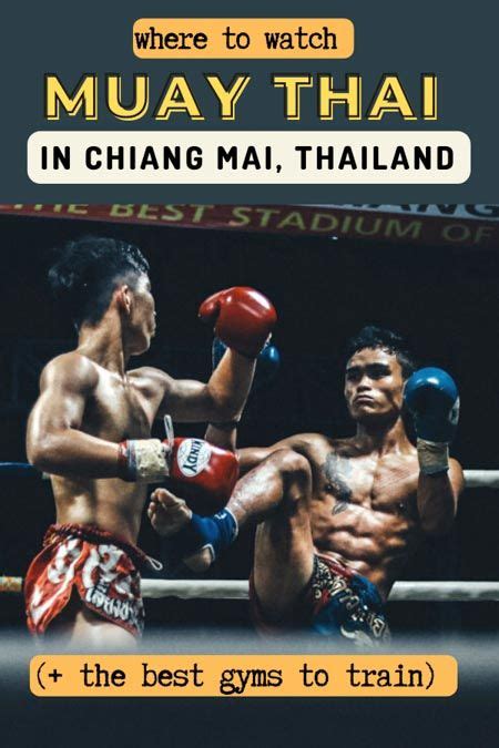 Muay Thai In Chiang Mai The Ultimate Guide