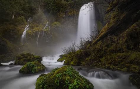 Обои лес река камни мох водопады Columbia River Gorge Washington