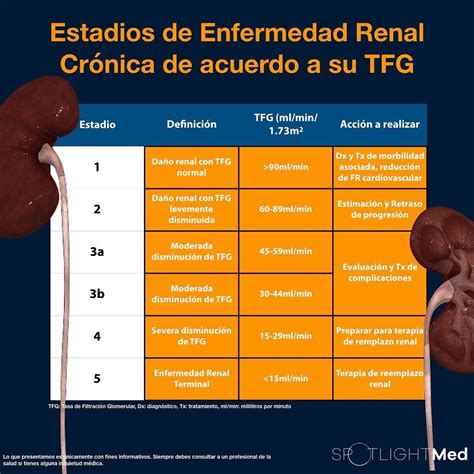 Pin En Apuntes Medicina