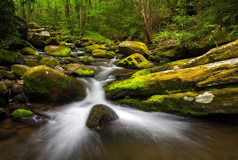 Great Smoky Mountains Gatlinburg Tn Lush Photograph By Dave Allen