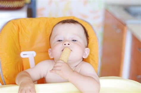 Resep Camilan Untuk Bayi Usia Enam Bulan Yang Sehat Enak Dan Praktis