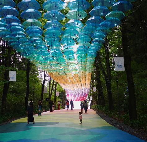 Under The Umbrella Sky – Only In Japan