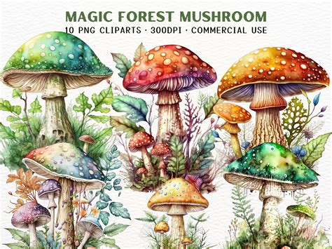 Magical Forest Mushrooms