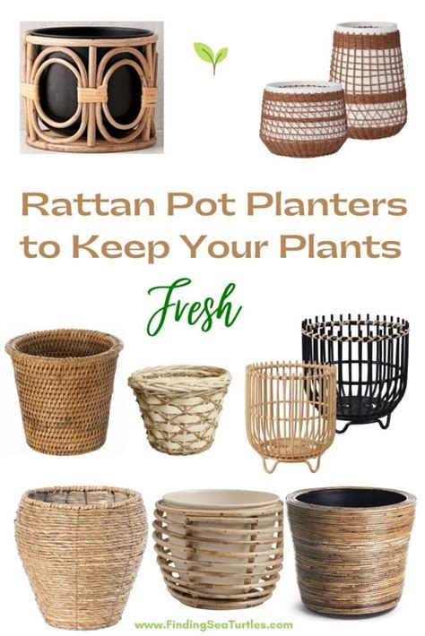 Best Rattan Pot Planters With Boho Style