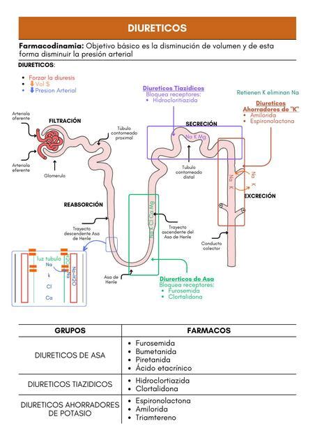 FARMACOS DIURETICOS Buclemed UDocz