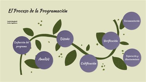 El Proceso De La Programación By Emilia Tagliaferro On Prezi